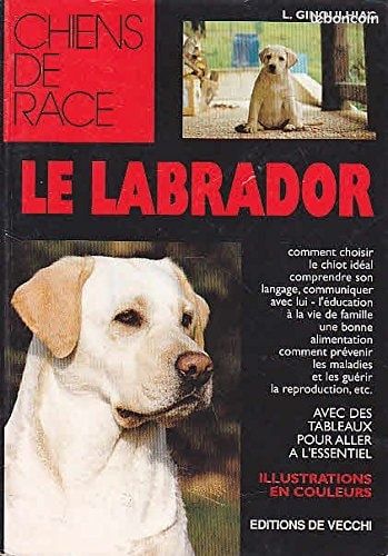 Le labrador de L.Ginoulhac (image 1)