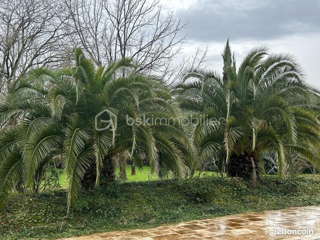Maison 7 pièces 309 m² - Salies-de-Béarn 64270 (image principale 3)