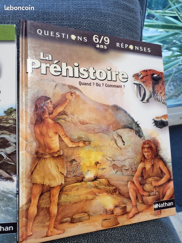 Lot de 3 livres Questions Réponses (image 1)