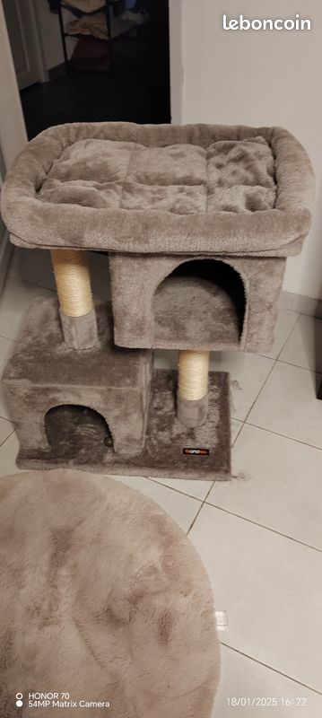 Arbre a chat special maine coon ou grands chats (image 2)