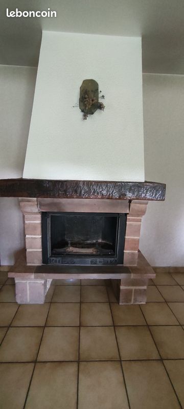 Cheminée avec Insert (image 1)