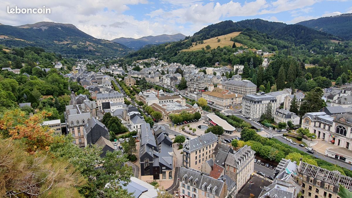 Location F4 La Bourboule "La roche de Marguerite" (image 9)