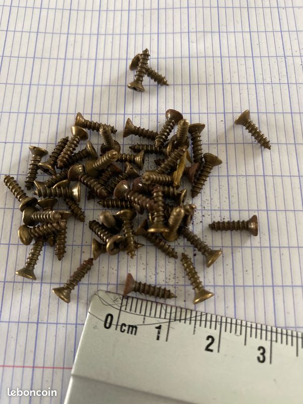 Lot d’environ 50 mini vis 1cm de long (image 1)