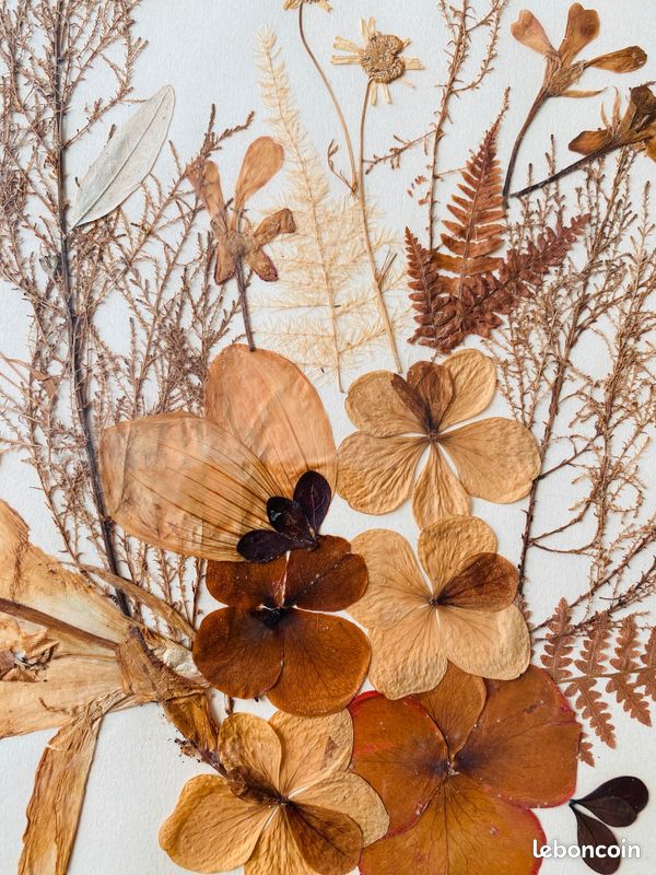Ancien cadre fleurs séchées rectangulaire Déco bohème Vintage - Décoration Ancien cadre fleurs séchées rectangulaire Déco bohème Vintage - Décoration