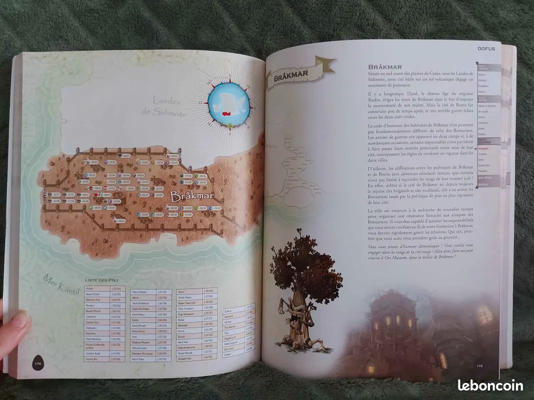 Livre Guide Officiel Dofus 2.0 (2010) (image 8)