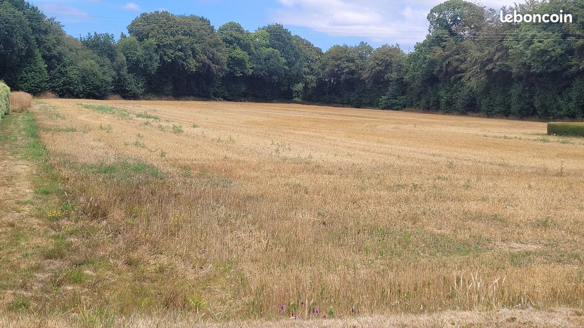 Terrain 480 m² Plouigneau · 50 000 €