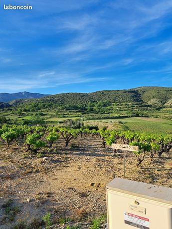 Terrain 2 425 m² Montpeyroux
