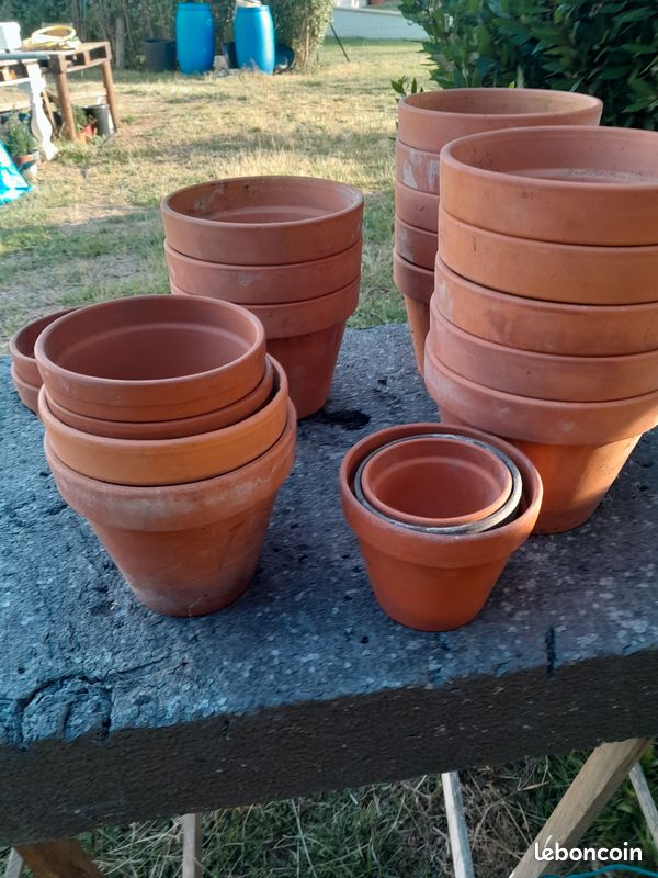 Plusieurs pots de fleurs (image 2)