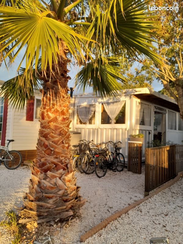 Location mobil home à hyères 200m de la mer 🏖🏖 (image 9)