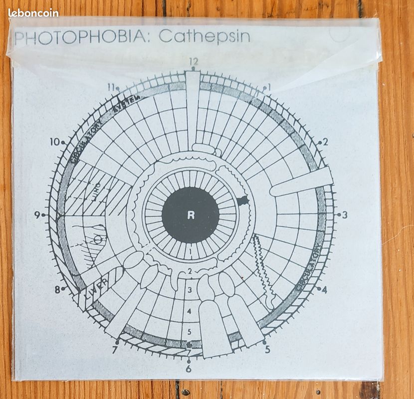 Photophobia - Cathepsin (image 1)