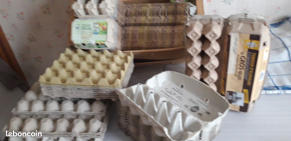 BOITES à oeufs et Alvéoles contenant carton réutilisables (image 1)
