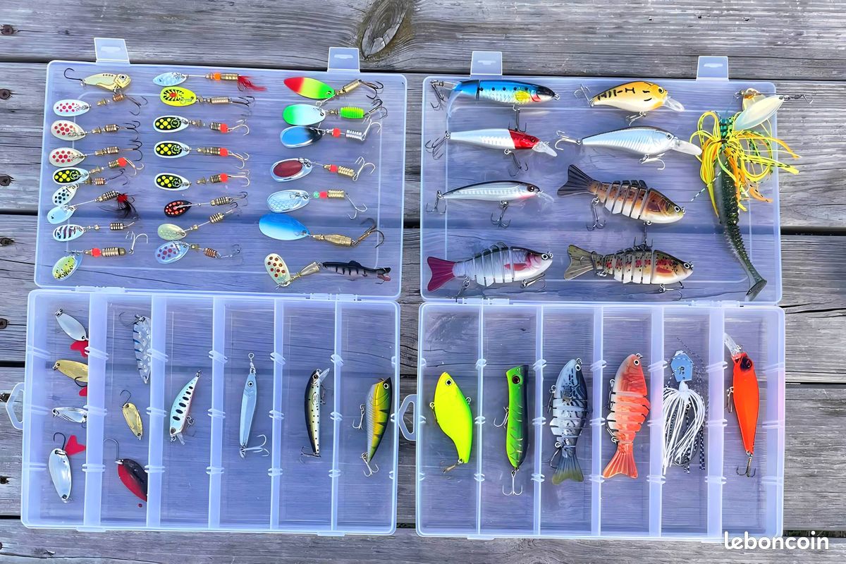 Lot de pêche carnassier – 100+ leurres, 4 cannes, moulinets, épuisette, sacs et boîtes (image 3)