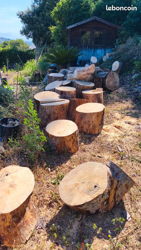 Gros rondins de bois de pin (image 1)