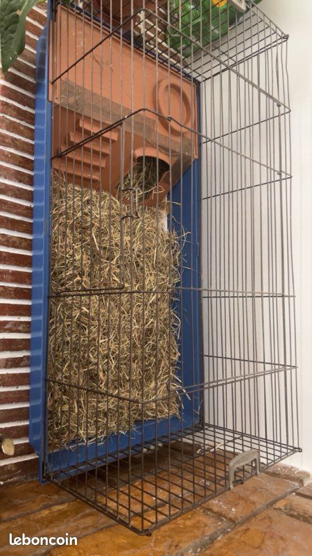 Cage à lapin (image 3)