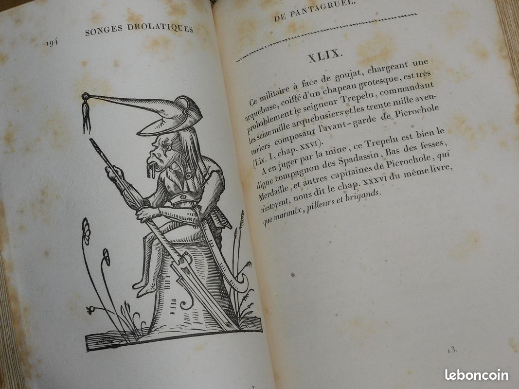 OEUVRES DE RABELAIS EN NEUF VOLUMES, Dalibon 1823 belles reliures gravures Pantagruel Gargantua contes drôlatiques Renaissance (image 11)