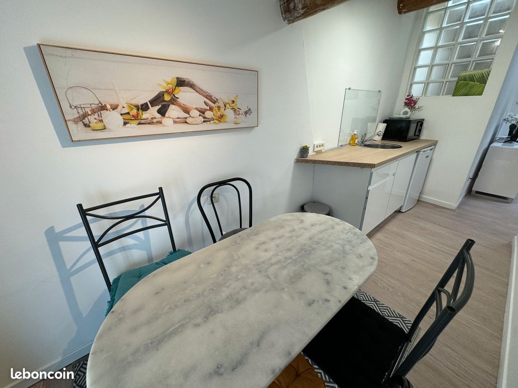 Splendide appartement climatisé à Carcassonne (image 7)