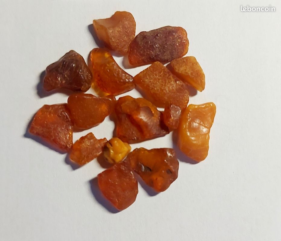 Pierre précieuse véritable ambre de la Baltique 35 x 13 x 8 mm forme