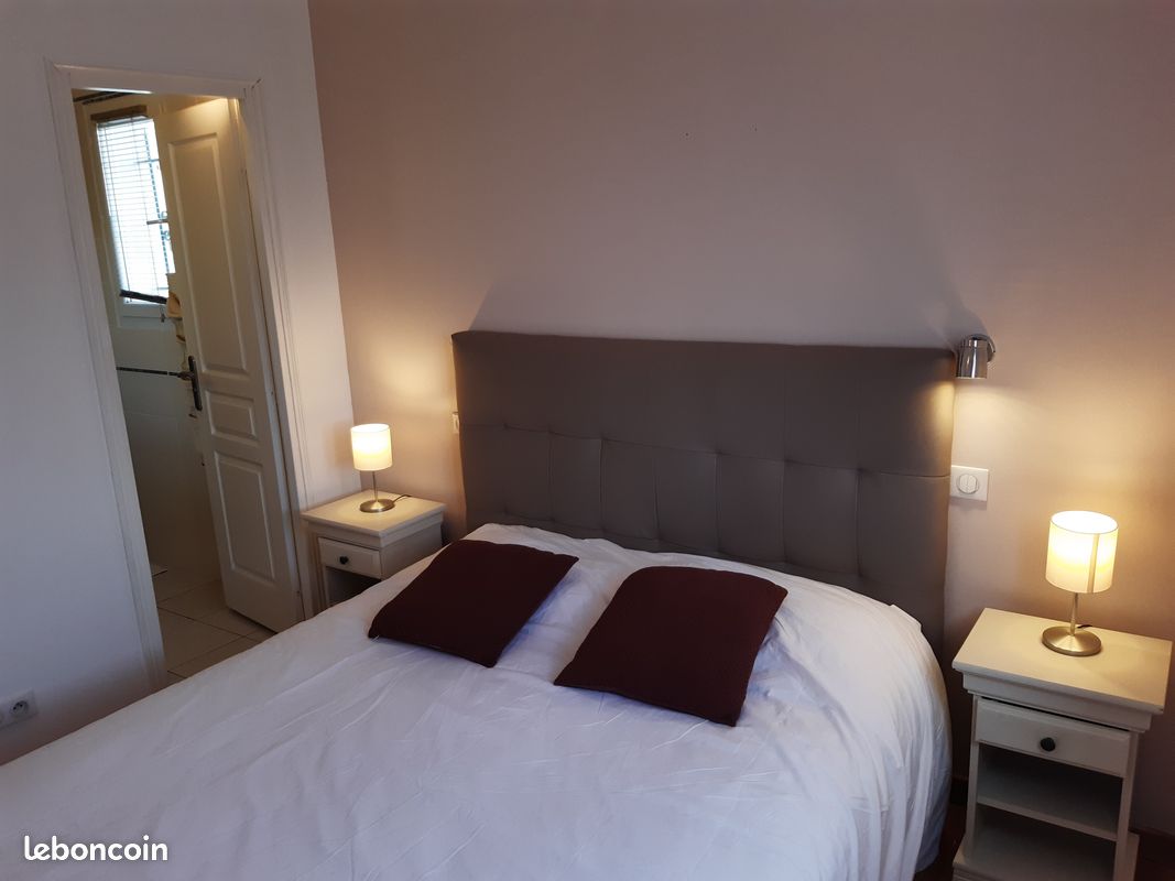 Près de Cannes villa 4 chambres climatisée piscine privée grand jardin (image 14)