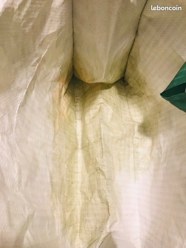 Sac cabas Le livre de la Jungle (image 5)