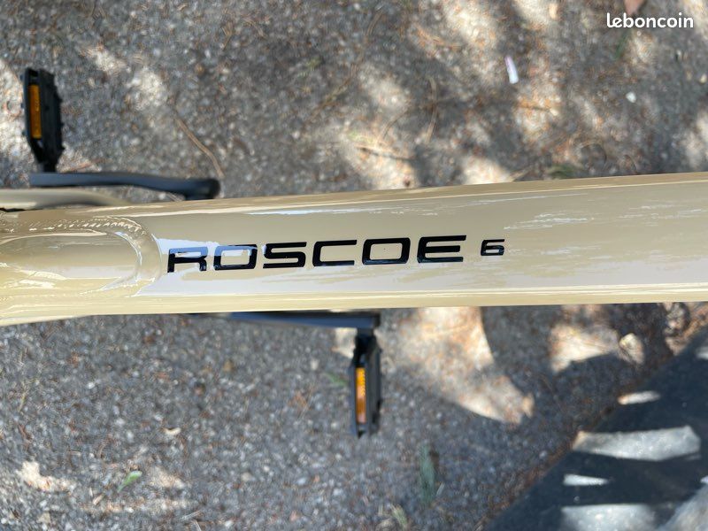 VTT Trek Roscoe 6 – Taille M – Couleur sable / beige – Très bon état – 600 (image 5)