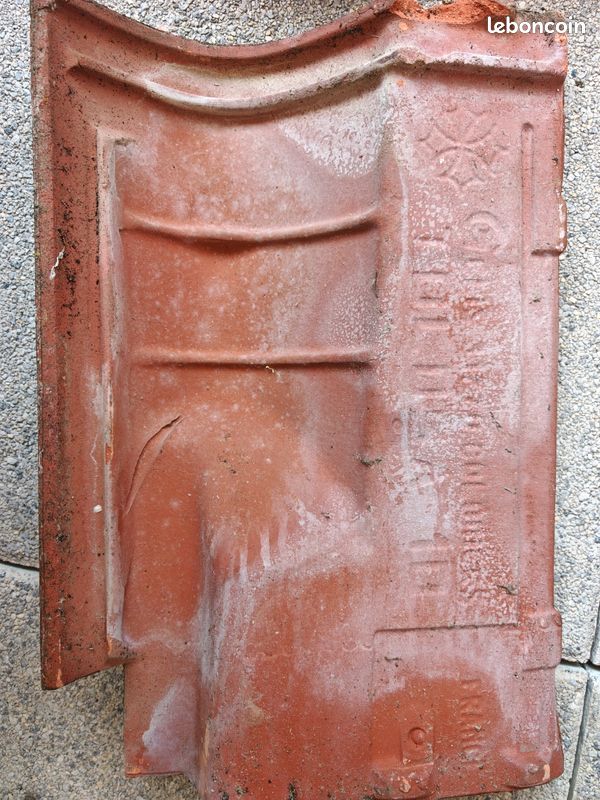 Tuile chatière dc12 gelis (image 2)