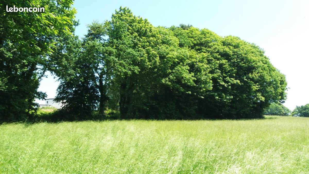 Terrain 1074 m² · à Erquy · 240 000 €