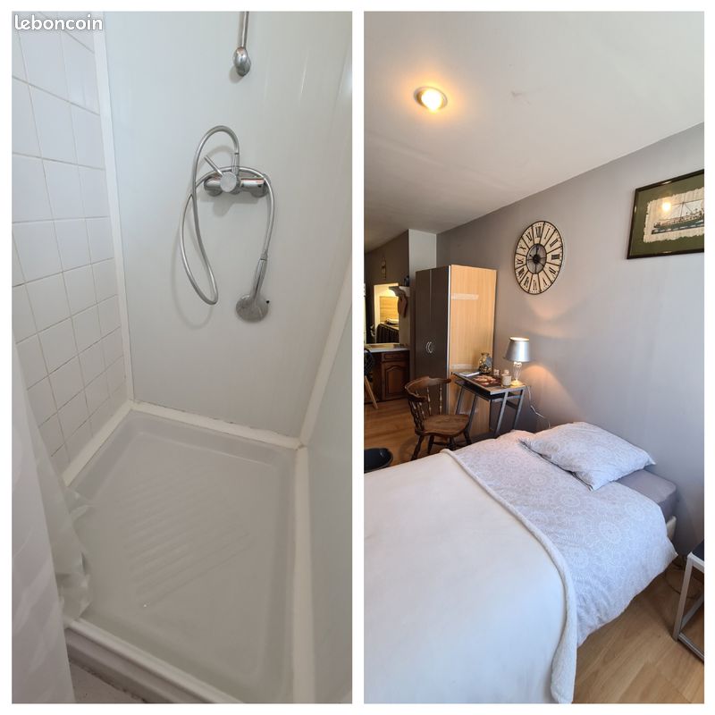 Studio meublé Oloron-Sainte-Marie - Oloron-Sainte-Marie 64400 (image principale 2)