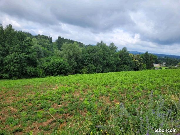 Terrain 4 856 m² Lanobre
