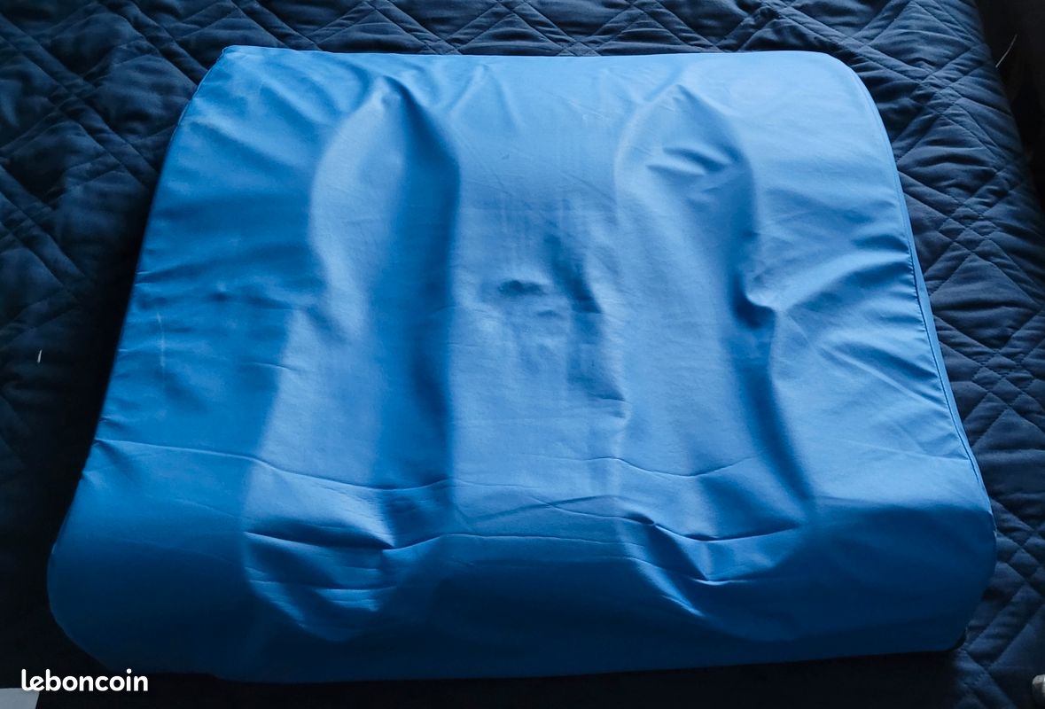 Le coussin Handipod (image 1)