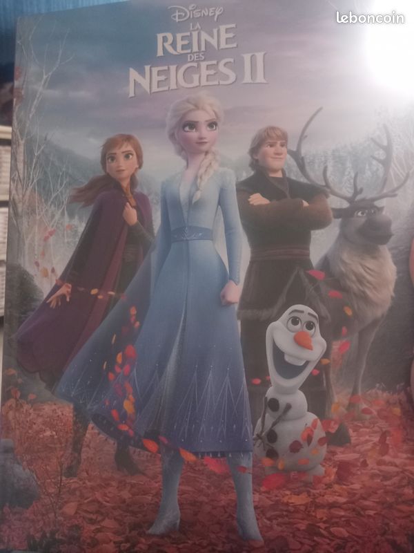 Livre disney reine de neige (image 3)