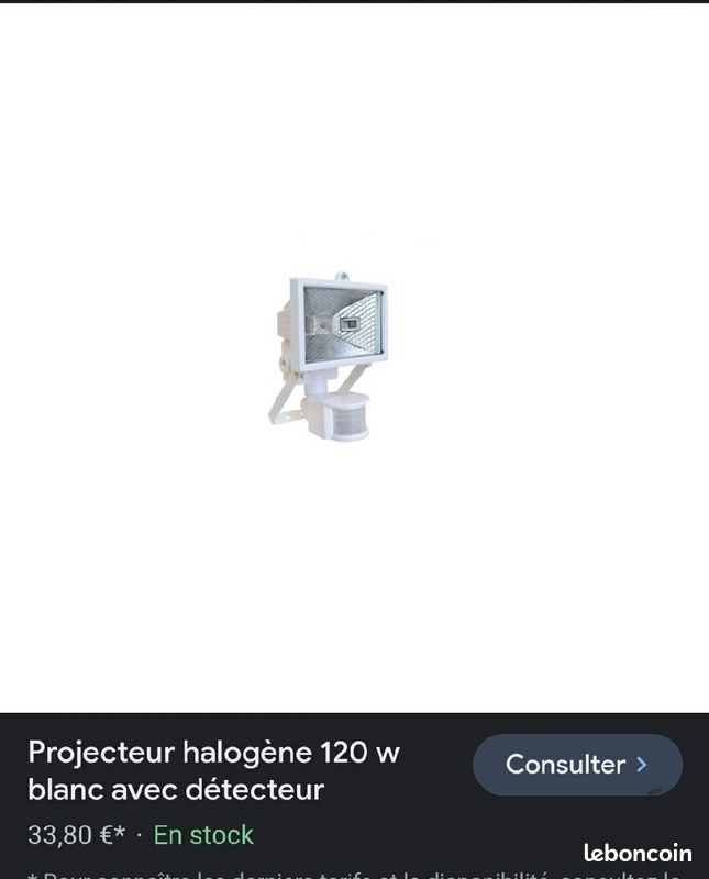 Projecteur allogène (image 1)