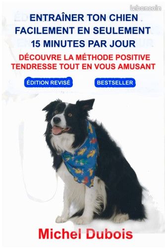 Entraîner ton chien facilement en seulement 15 minutes par jour " découvre la méthode positive tendresse tout en vous amusant " (image 1)