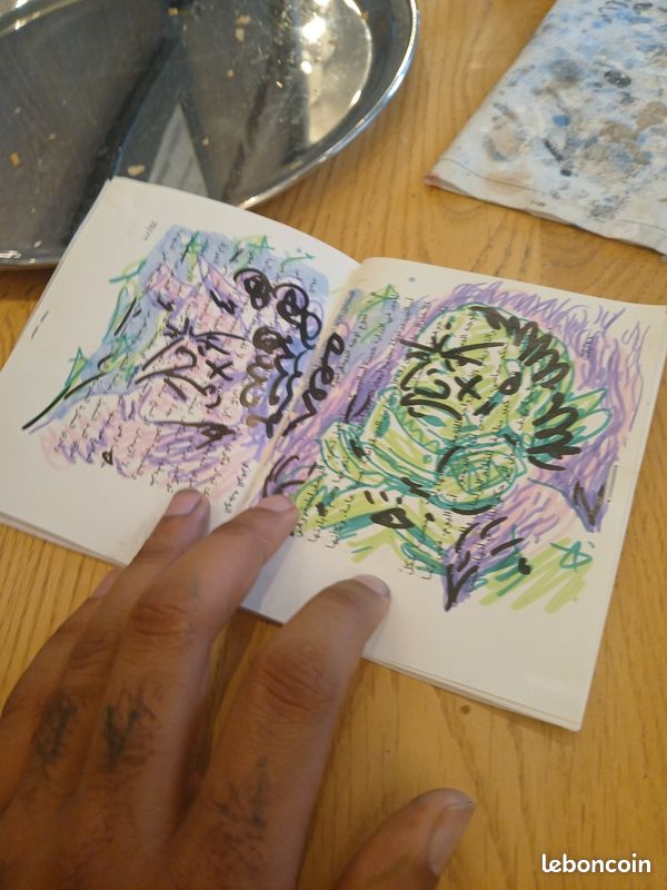 Lot de 10 romans graphiques (image 16)