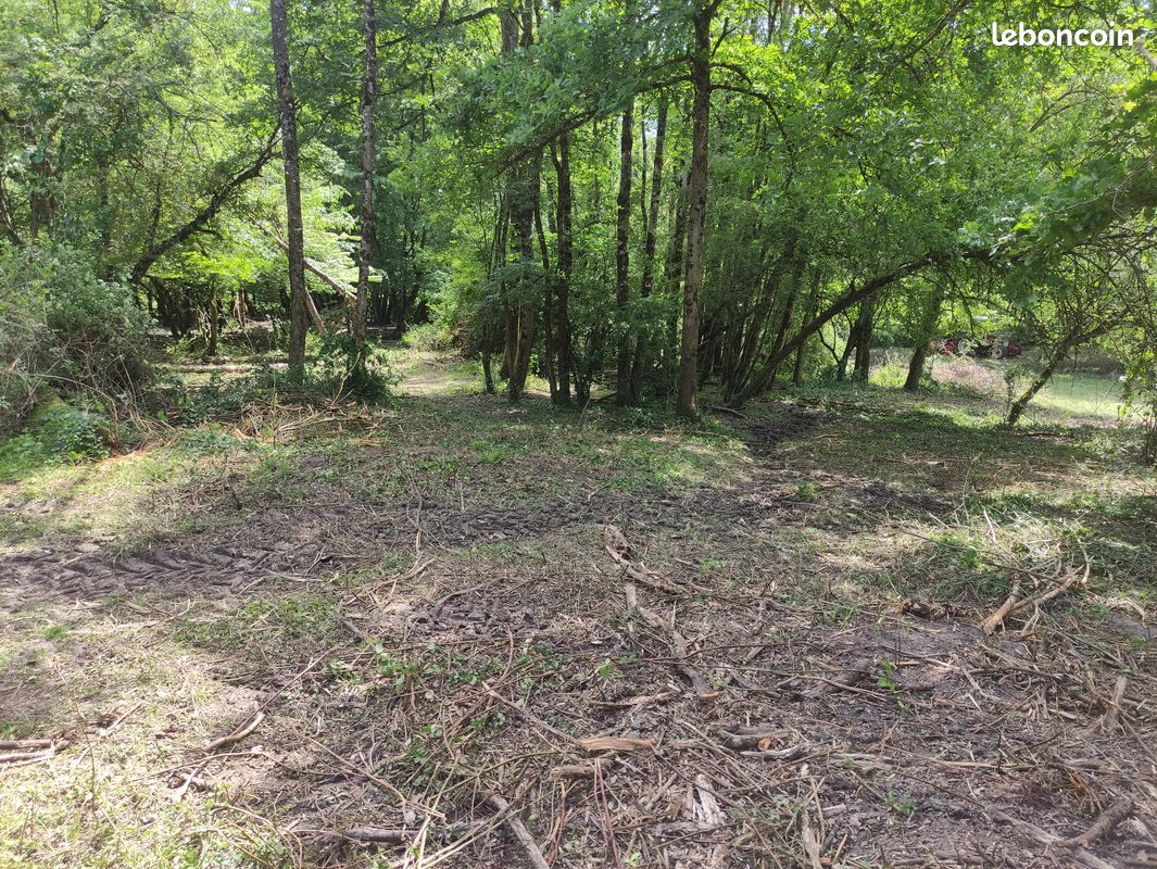 Débroussaillage, défrichage et broyage (image 2)