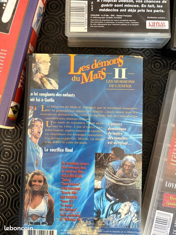 Lot vhs horreur (image 8)