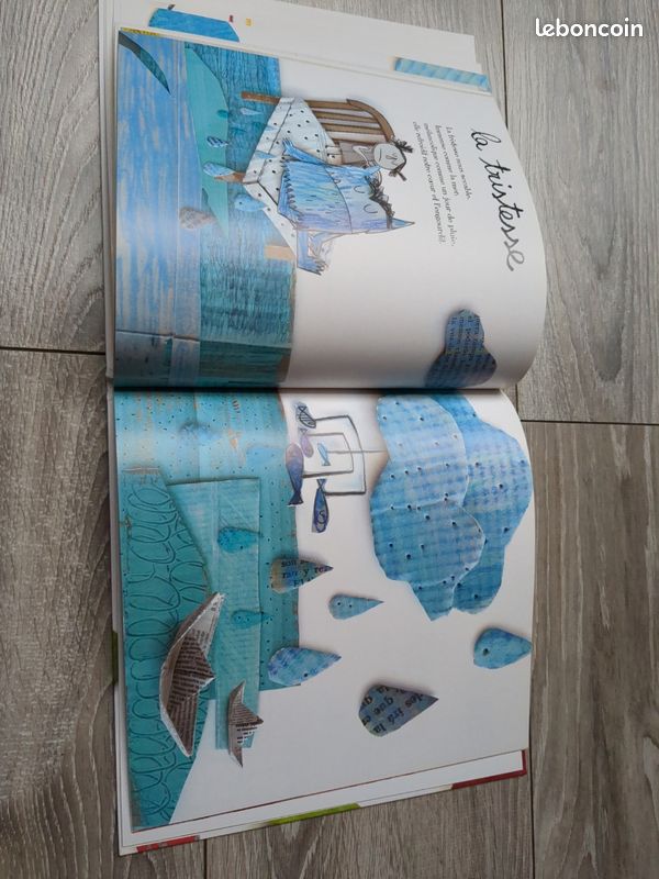 Livre la couleur des émotions (image 4)