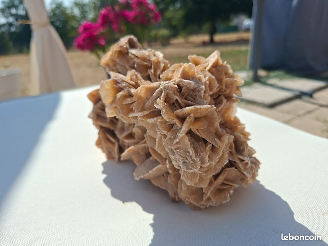 Rose des sables (image 2)