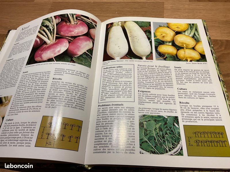 Le jardin potager , encyclopédie de l’amateur de jardins (image 7)