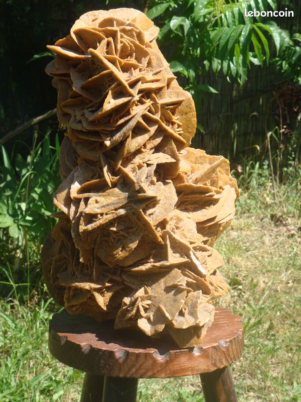 Rose des sables (désert du Sahara) (image 3)