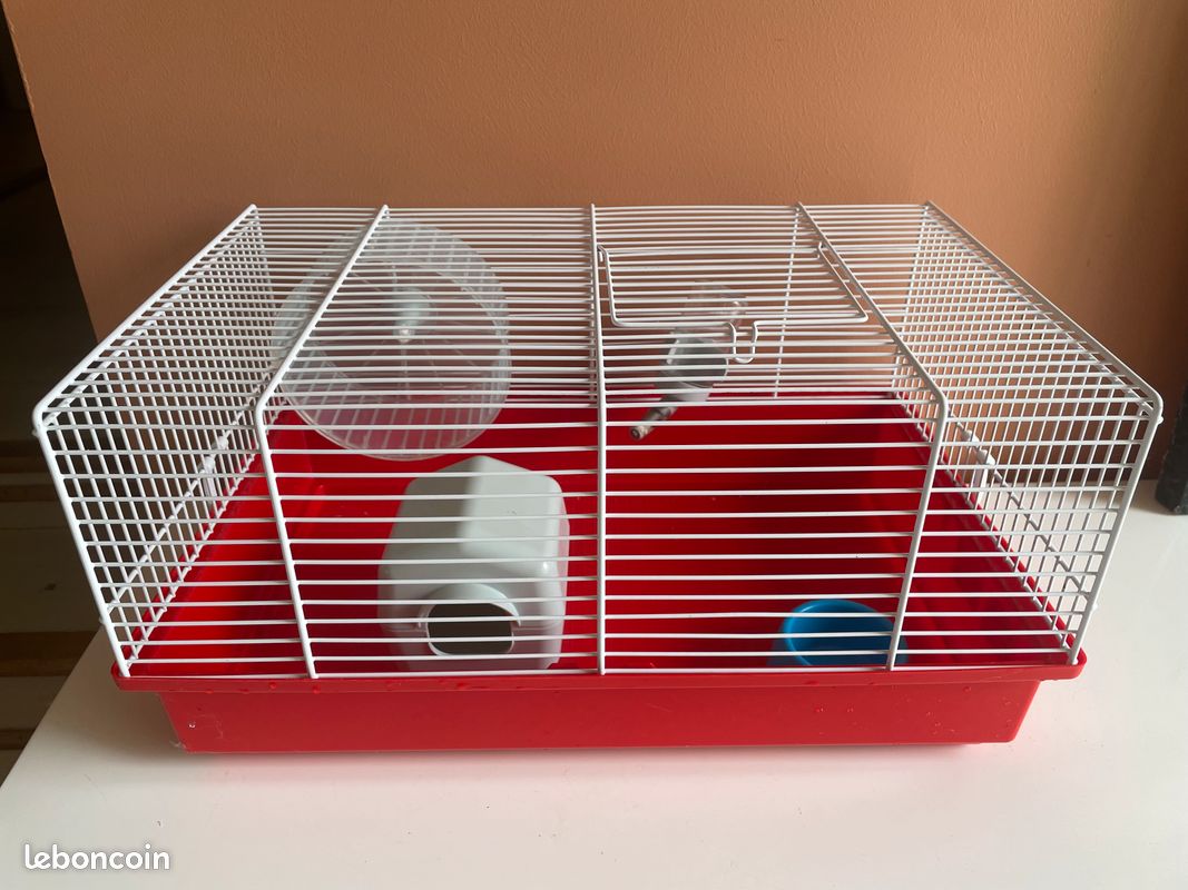 Cage hamster (image 2)