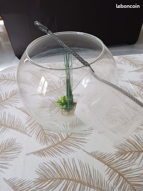 Aquarium et son epuisette (image 1)
