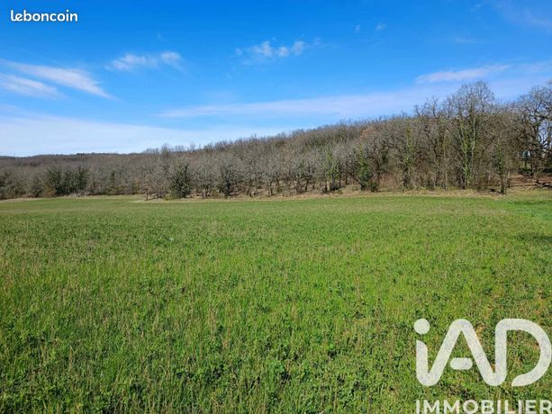 Terrain 7004 m² Jayac