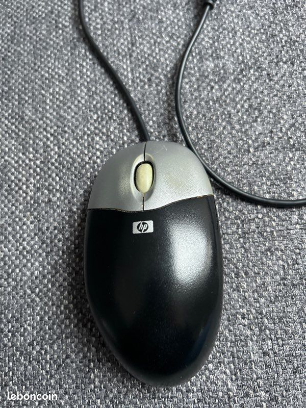 Souris (image 3)