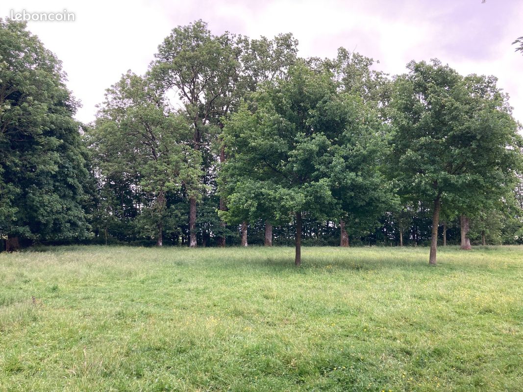 Terrain a bâtir 1180 m2 · à Averdoingt · 37 500 €