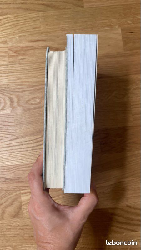 Lot de 2 livres sur le Curé d’Ars – Francis Trochu - Michel de Saint Pierre (image 4)