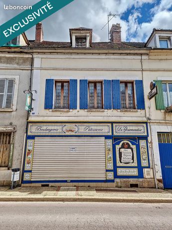 Immeuble 272 m² BRIENON-SUR-ARMANCON