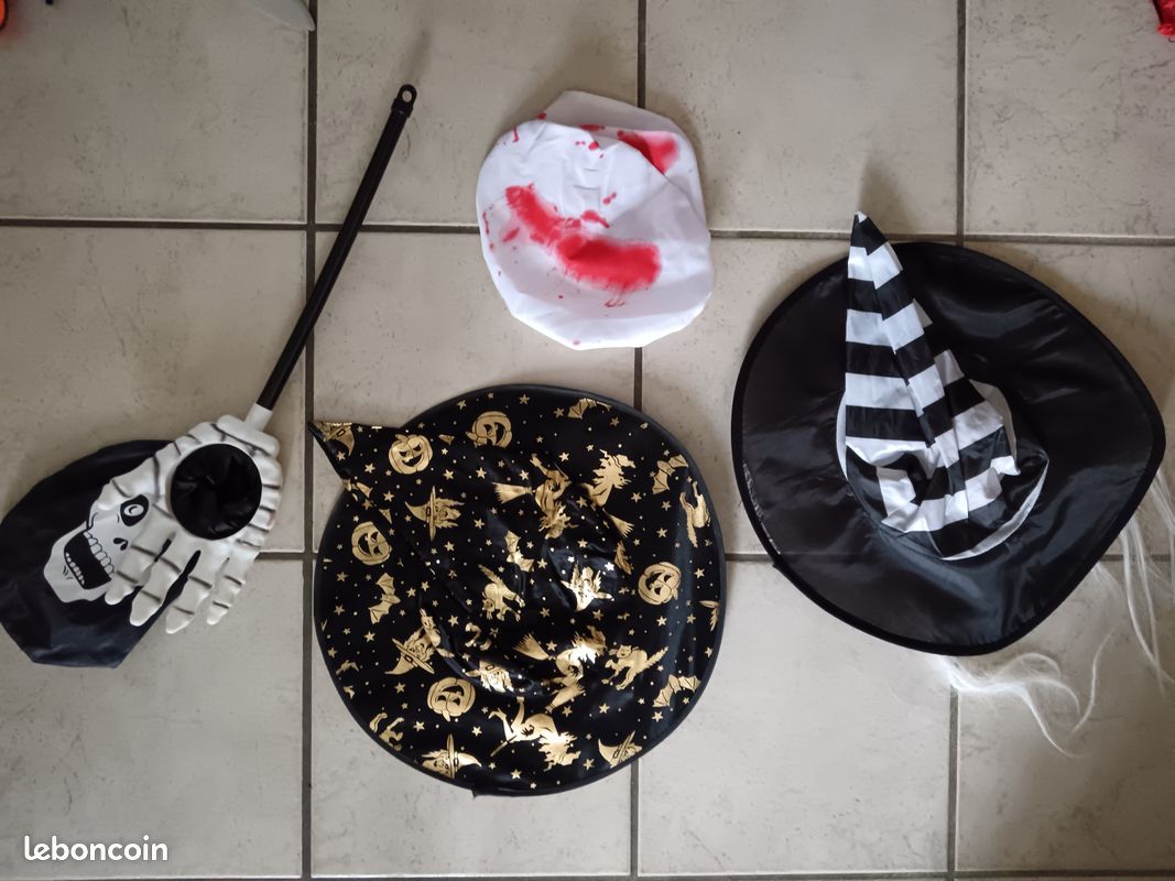 Déguisements d'halloween (image 5)