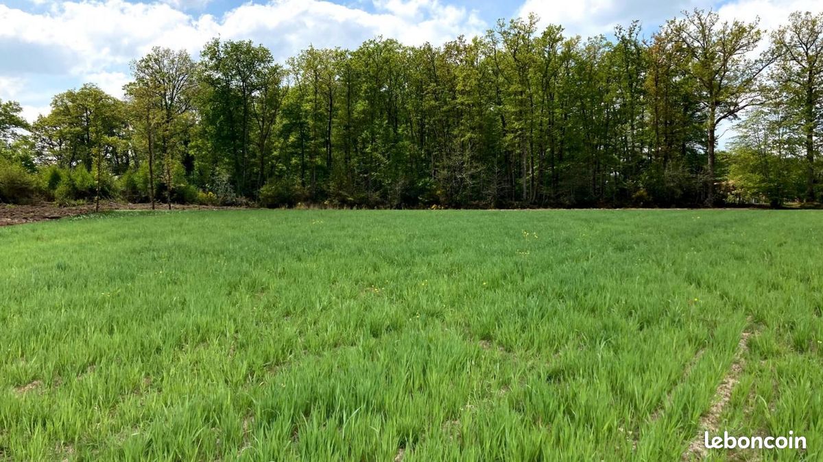 Terrain 1 350 m² Orsinval · 99 600 €