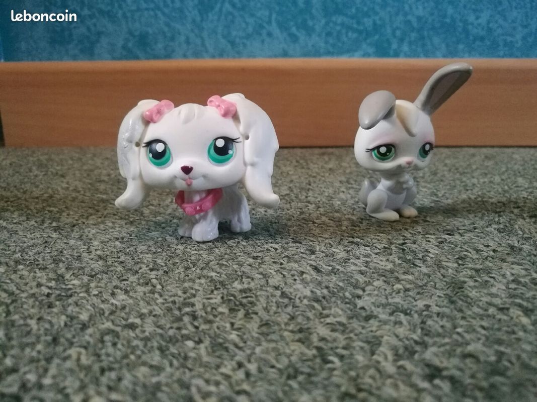Lot de Petshop + accessoires (image 2)