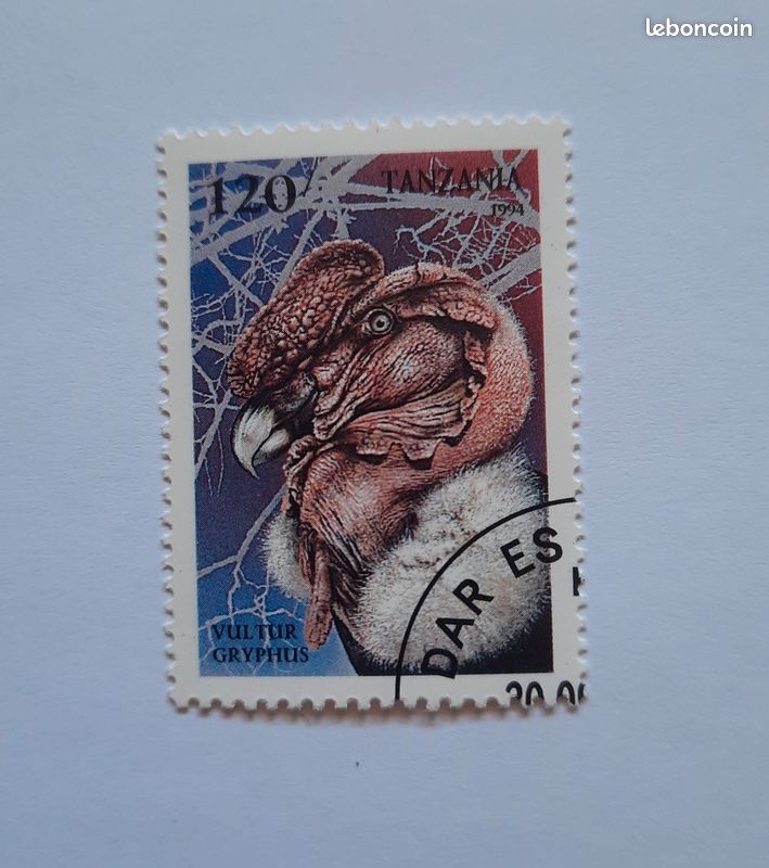 TANZANIE 100 Shilingi Proof 1986 fwo_462248 Monde